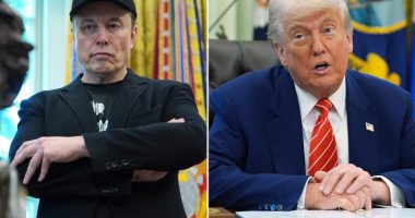 Don't underestimate Donald Trump â he and his goals will survive without Musk